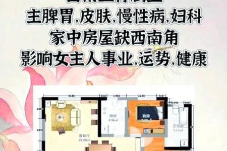 用风水如何调和女命伤官见官的影响