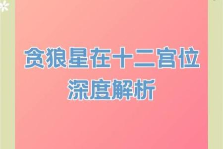紫微斗数诸星落诸宫之：贪狼星福德宫详解