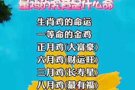 生肖鸡今日运势财运麻将方位