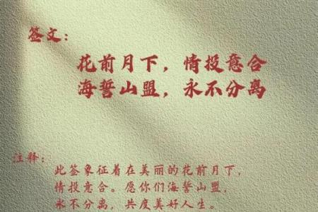 月老灵签签文详解第四十五签：后生可畏