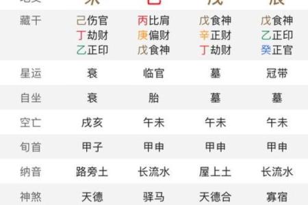 八字命宫辛亥是什么意思