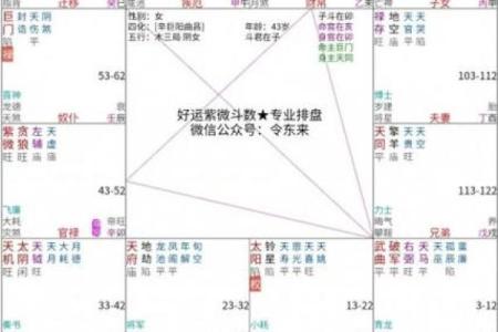 紫薇斗数流年免费算命