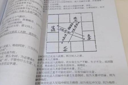 紫微斗数文库 紫微斗数全书原文注解？