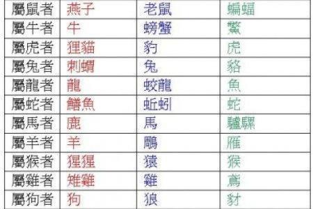 星座算命准还是属相算命准