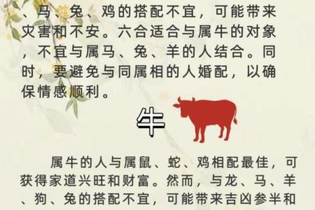 生肖配对：属马的和什么属相最配