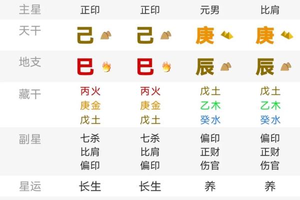八字双龙