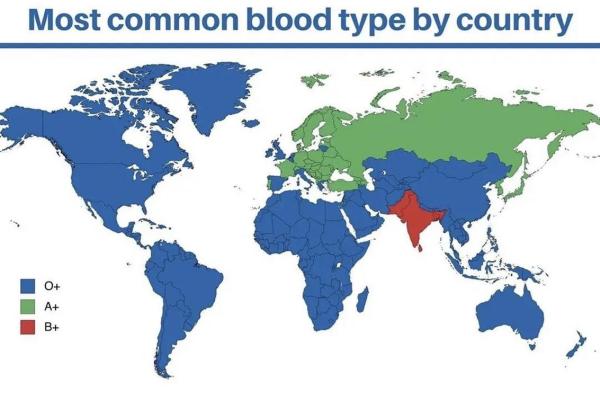 血型各国比例分析