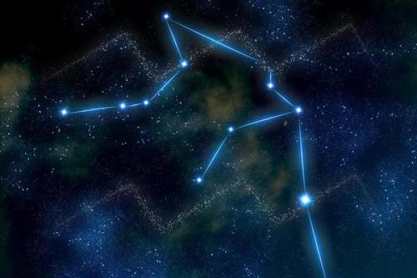 水瓶座能当十二星座的第一名吗男