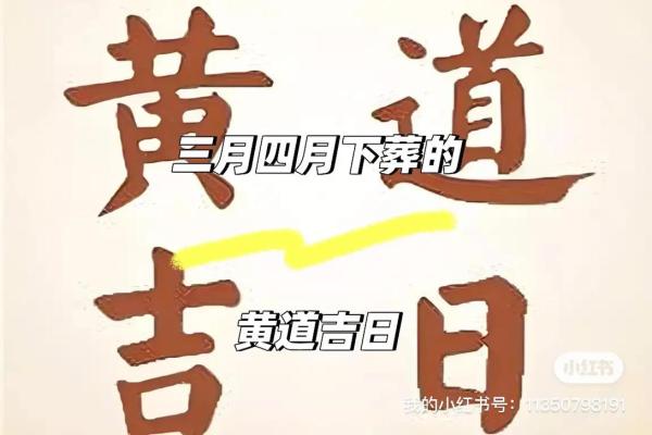下葬吉日2024年12月
