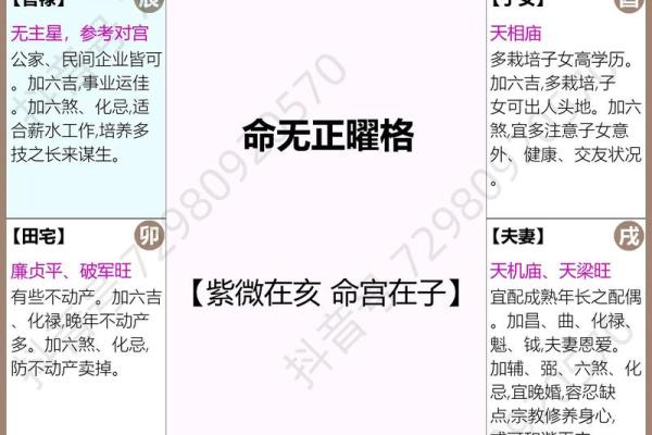 紫薇斗数流年对冲宫