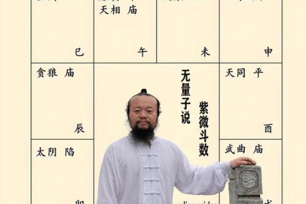 紫微斗数诸星落诸宫之:疾厄宫 紫微斗数诸星落诸宫之:疾厄宫
