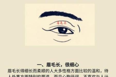 八字眉眉尾下垂的男人性格特点