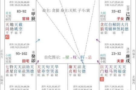 紫薇斗数的命盘怎么看