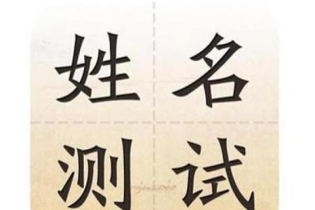 姓名免费打分测试100分