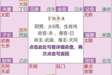 紫薇斗数流年对冲宫