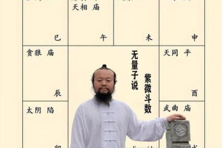 紫微斗数诸星落诸宫之：疾厄宫
