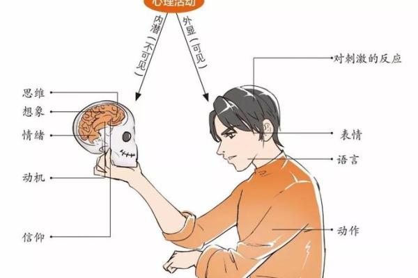 为什么科学算命听起来耸人听闻，却有那么多人相信？