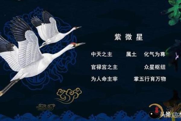 紫薇科技斗数
