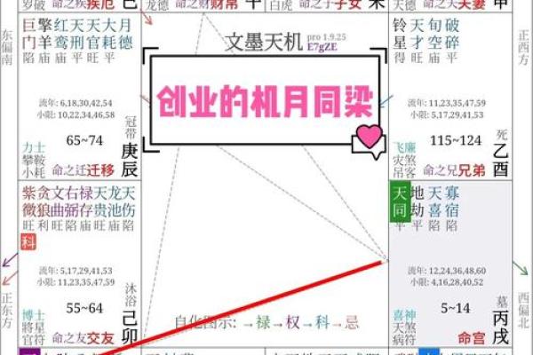 看紫薇斗数收费