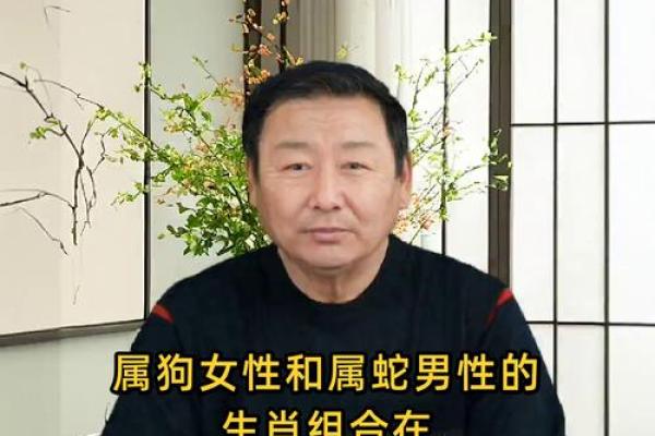 属狗的女人和什么属相最配对 属狗的女人和什么属相最配婚姻