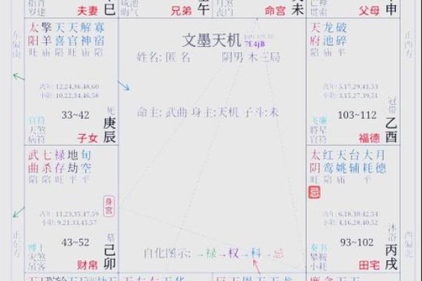 紫薇斗数入门术语