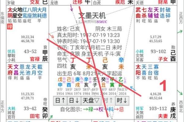 东有小山紫薇斗数7