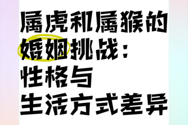 属虎正缘出现在哪年 属虎人婚姻配对表