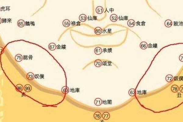 紫微斗数诸星落诸宫之:奴仆宫 紫微斗数诸星落诸宫之:奴仆宫