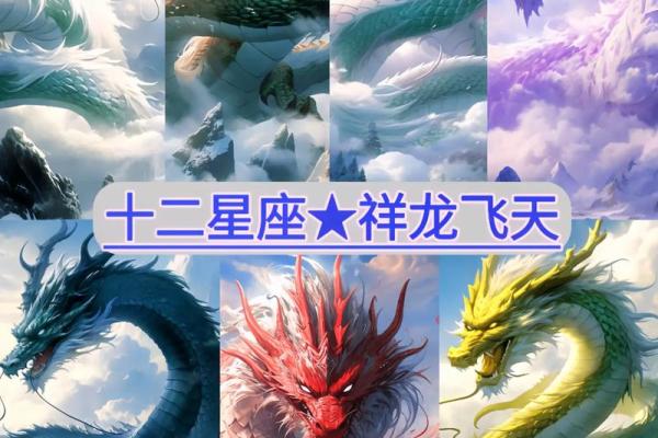 12星座分别适合什么坐骑