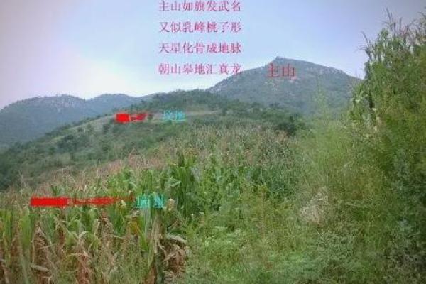 陵墓风水禁忌有哪些风水知识呢