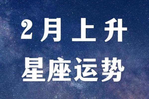 猎鹰上升星座摩羯运势2024