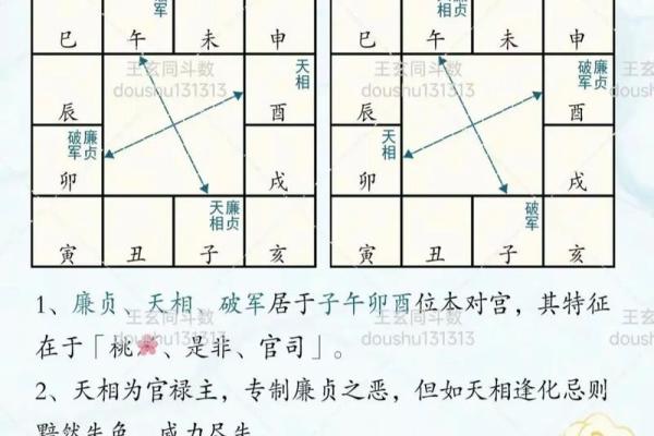 唐艺尹老师紫薇斗数算田宅宫：廉贞星坐守十二宫位置分析田产运