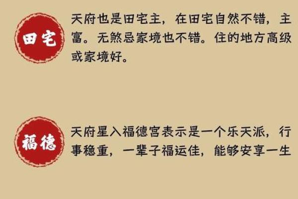 紫薇斗数698元