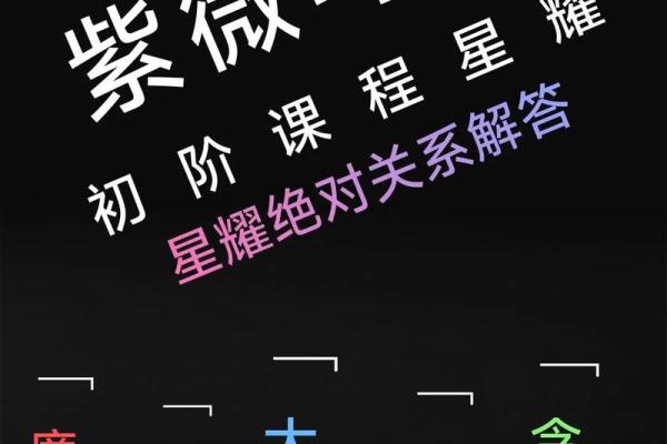 紫薇斗数698元