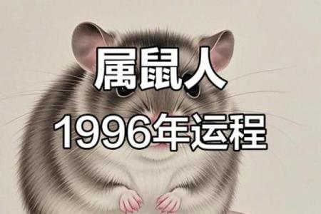 1996年属什么生肖配对