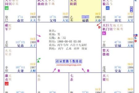 紫薇科技斗数