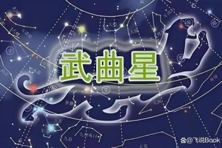 紫微斗数十四主星：武曲星概论