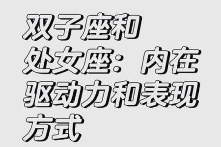 双子处女座配对分析