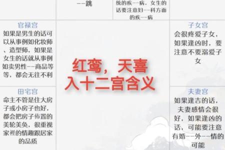 红鸾紫薇斗数