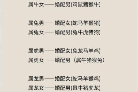 父母与子女属相配对