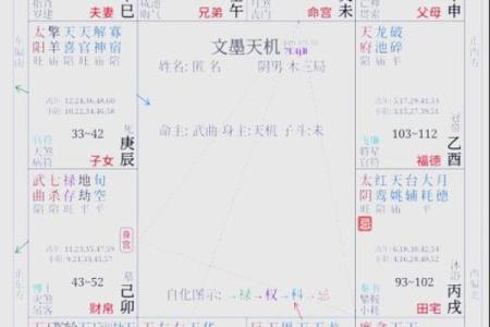 紫薇斗数入门术语