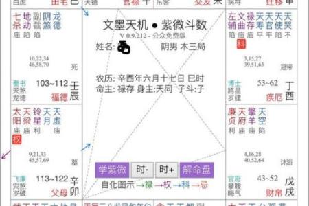 紫薇斗数怎么看一个人适合学周易