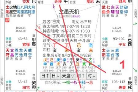 东有小山紫薇斗数7