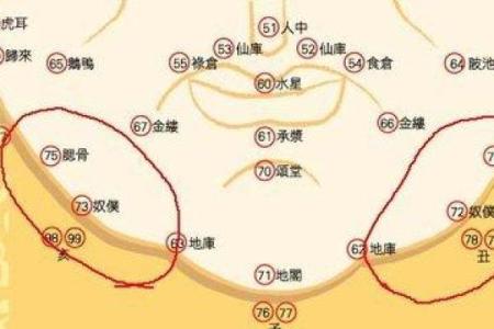 紫微斗数诸星落诸宫之：奴仆宫