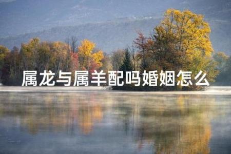 婚姻配对属龙和属马姻缘怎么样