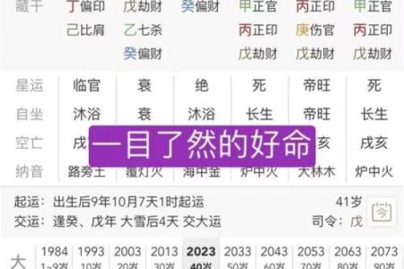 八字起名网官网,免费取名网生辰八字起名大全