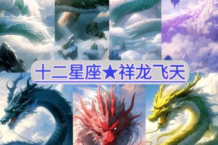 12星座分别适合什么坐骑