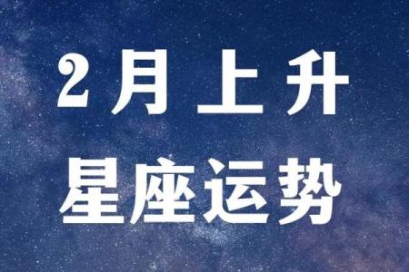 猎鹰上升星座摩羯运势2024