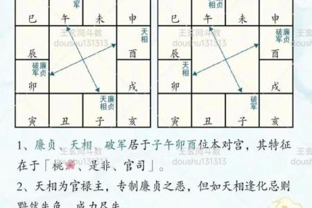 唐艺尹老师紫薇斗数算田宅宫：廉贞星坐守十二宫位置分析田产运