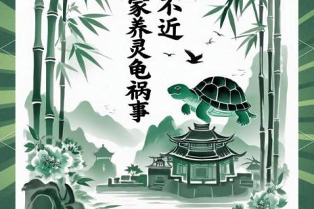 风水的方位_乌龟代表哪个方向